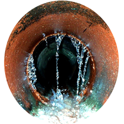 Tampa Bay Sewer Inspections